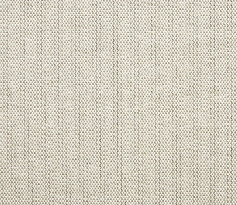 Divano Lounge Coral Chair – Design mit ruhiger Präsenz