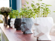 Vondom Adan Nano Planter – skulpturales Mini-Statement für Regale & Fensterbänke