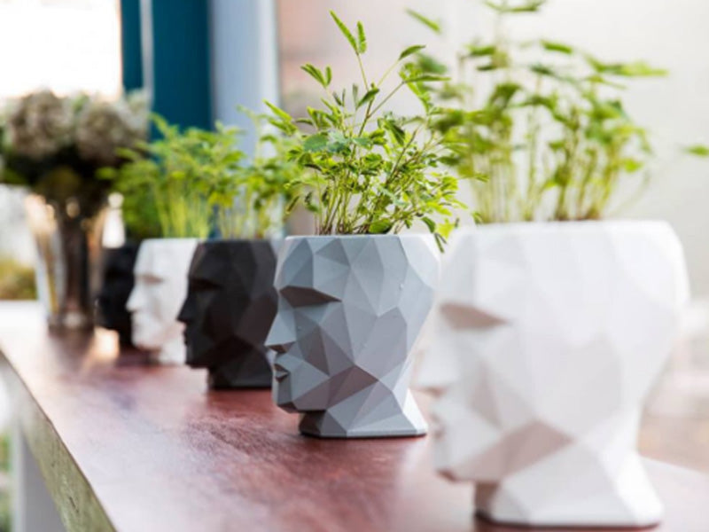 Vondom Adan Nano Planter – skulpturales Mini-Statement für Regale & Fensterbänke